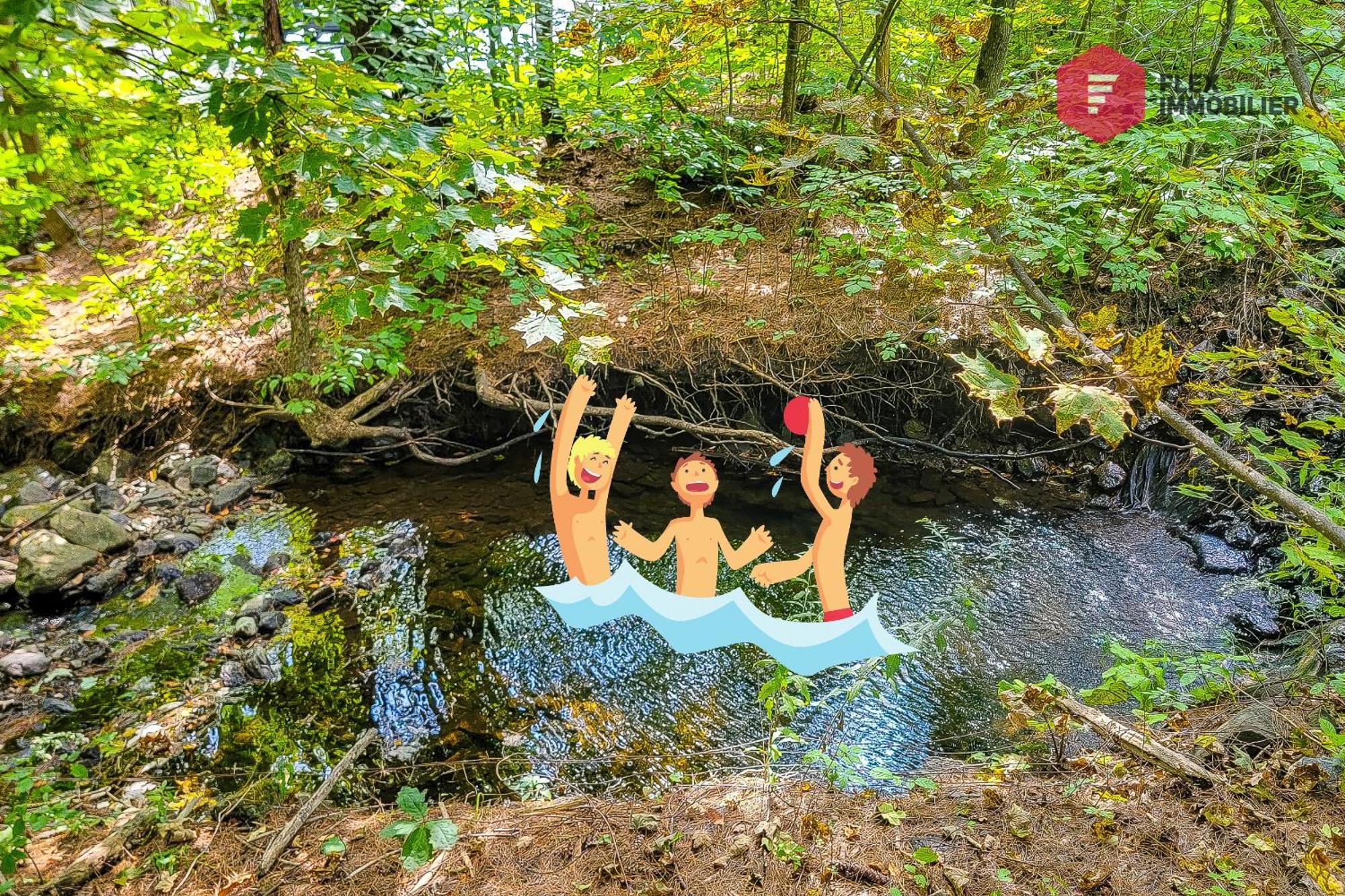 L'Arbre De La Montagne Orford - Ski Hiking Bicking Golf Beaches Magog Ngoại thất bức ảnh